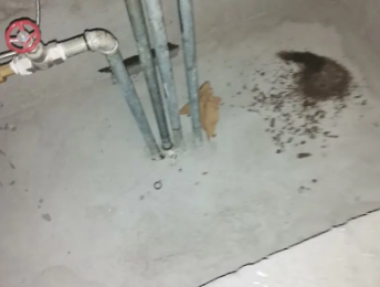 双辽卫生间测漏水价格明细