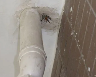 双辽漏水检测哪家好